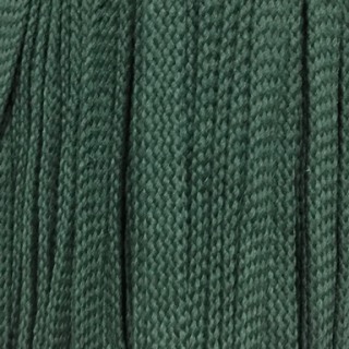 Зеленый плоский шнур фото